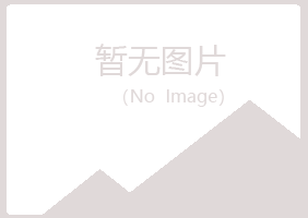 银川西夏山柳机械有限公司